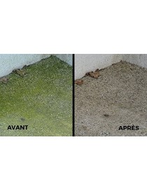 ANTI MOUSSE PRO CONCENTRE TOITURE, TERRASSE, TRAITE JUSQU'A 500M²